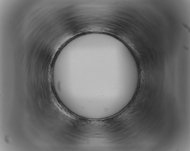 X0000103480848200809191857