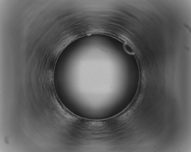 X0000103480849200809191857