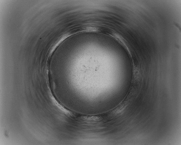 X0000103480851200809191857