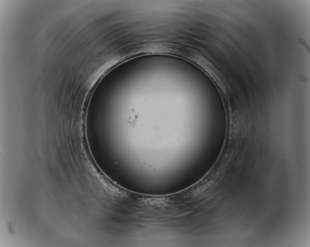 X0000103480853200809191857