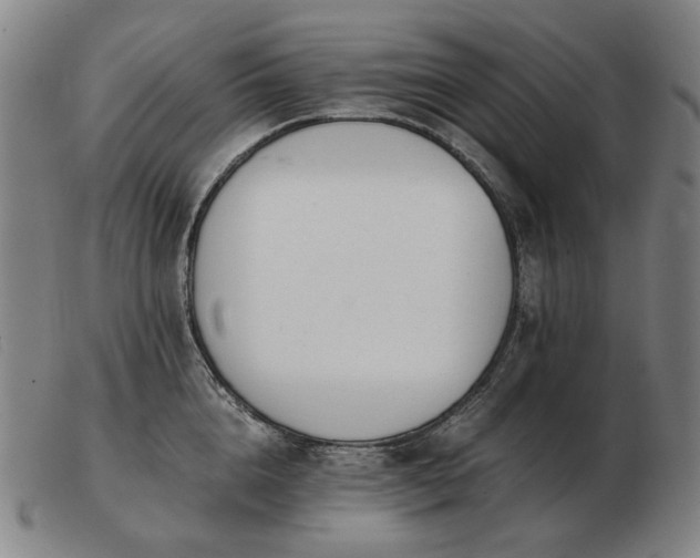 X0000103480856200809191857