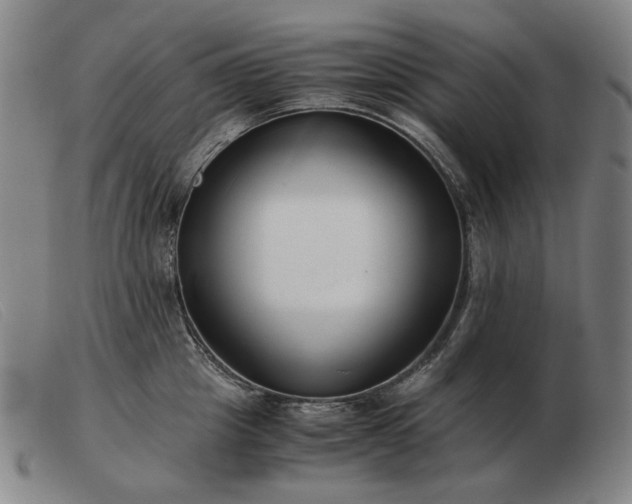 X0000103480857200809191857