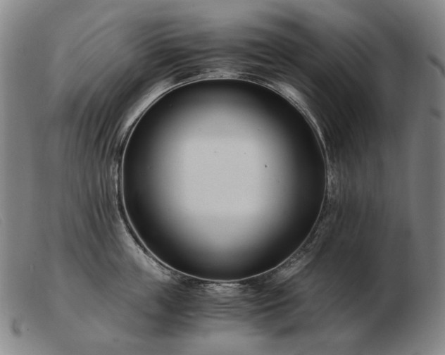 X0000103480859200809191858