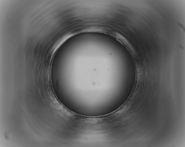 X0000103480860200809191858