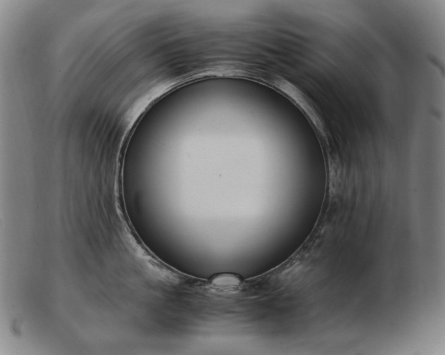 X0000103480861200809191858