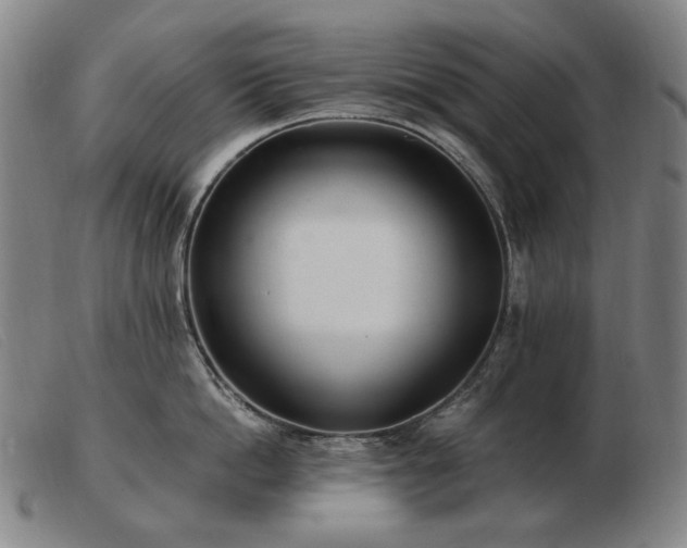 X0000103480862200809191858