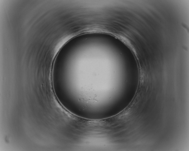 X0000103480863200809191858