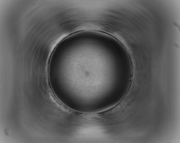 X0000103480864200809191858