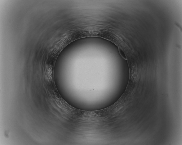 X0000103480866200809191857