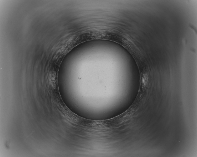 X0000103480867200809191857