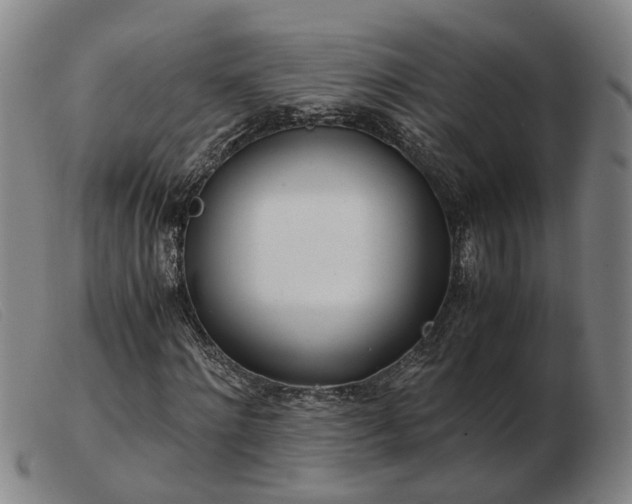 X0000103480868200809191857