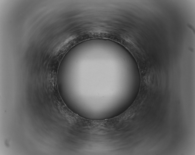X0000103480870200809191857