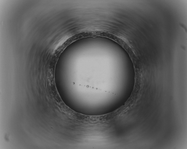 X0000103480871200809191857