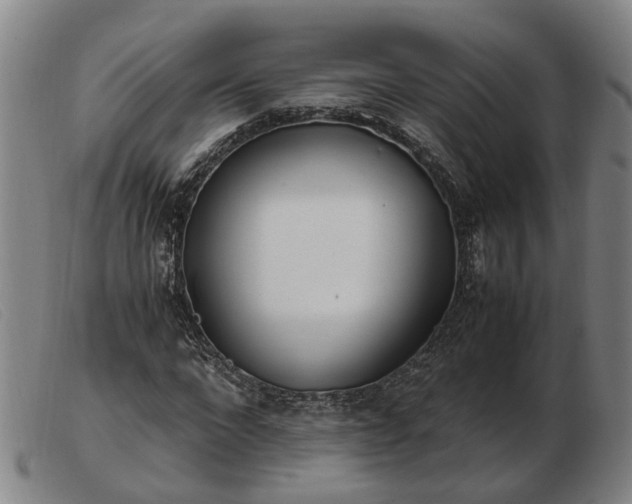 X0000103480872200809191857