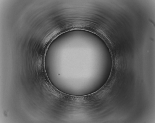 X0000103480874200809191857