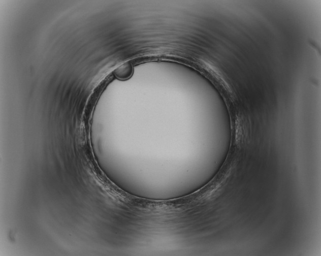 X0000103480876200809191857