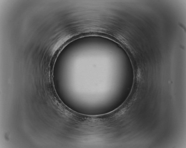 X0000103480877200809191857
