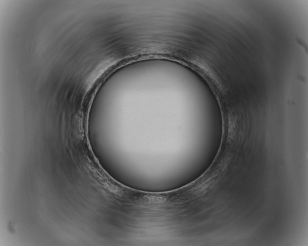 X0000103480878200809191857