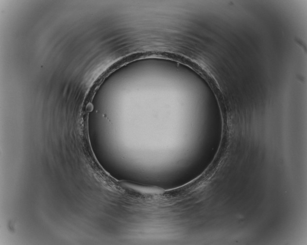X0000103480879200809191857