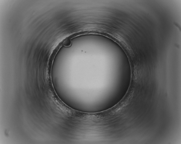 X0000103480880200809191857