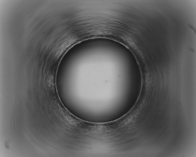 X0000103480881200809191857