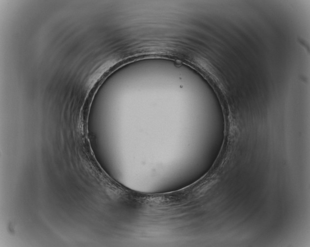 X0000103480883200809191857