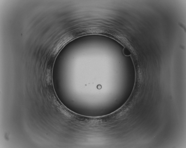 X0000103480889200809191857