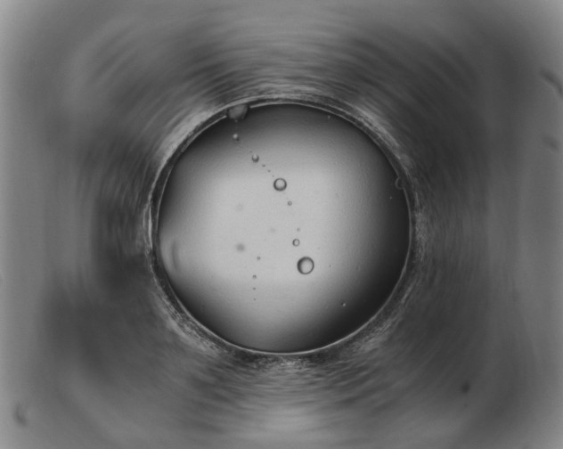 X0000103480891200809191856