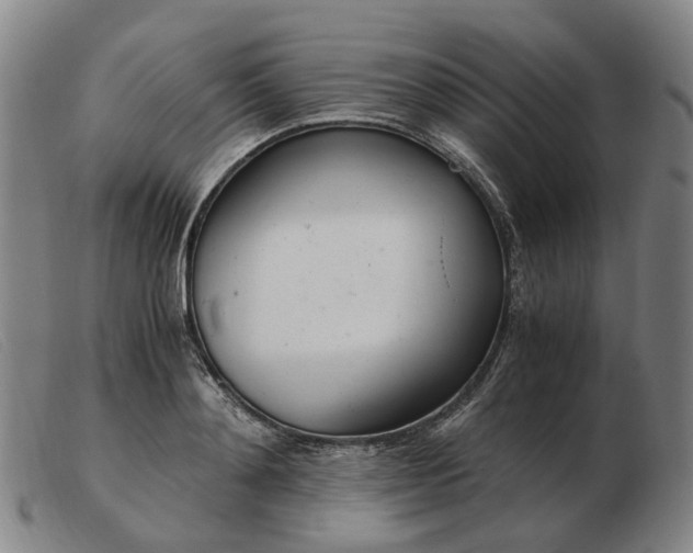 X0000103480892200809191856