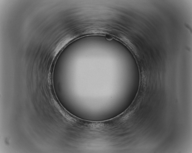 X0000103480893200809191856