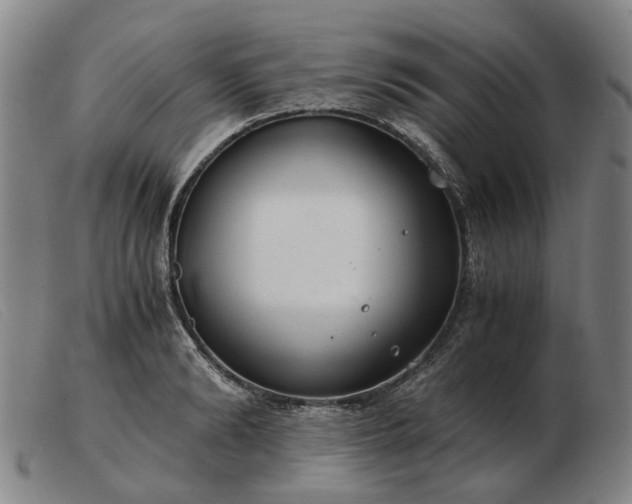 X0000103480894200809191856