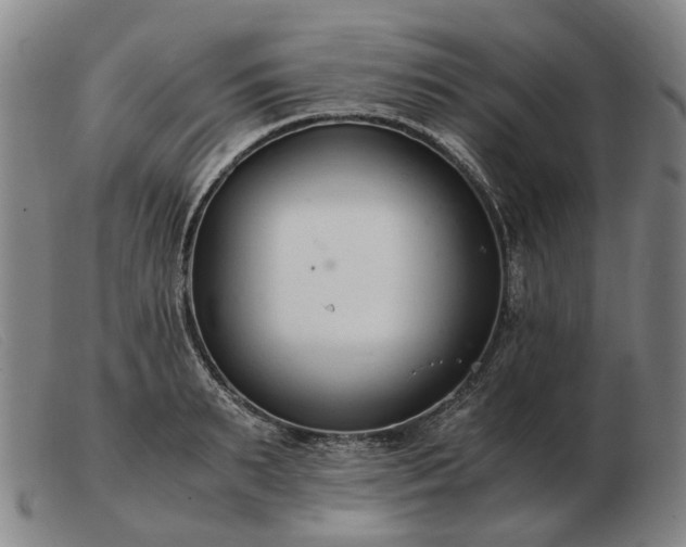 X0000103480895200809191856