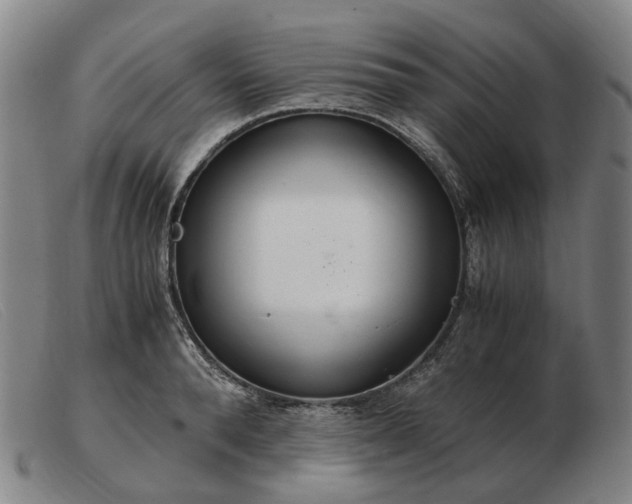 X0000103480896200809191856
