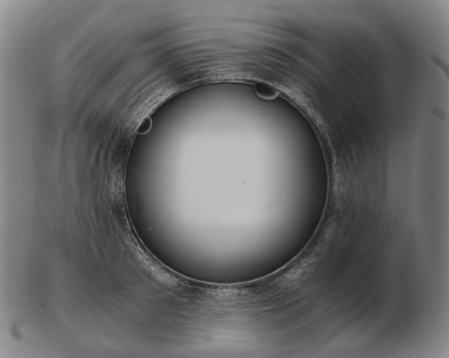 X0000103480897200809191856