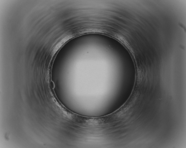 X0000103480898200809191856