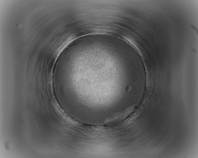 X0000103480899200809191856