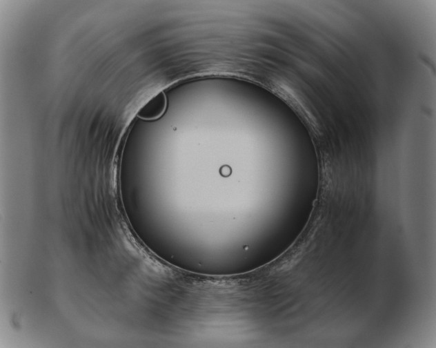 X0000103480900200809191856