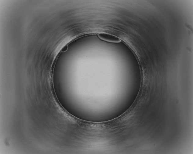 X0000103480901200809191856