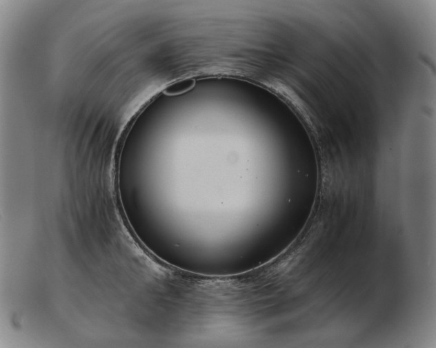 X0000103480902200809191856