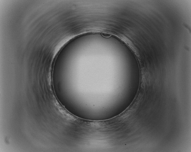 X0000103480904200809191856