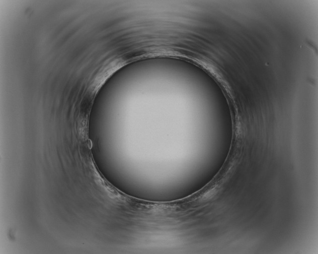 X0000103480905200809191856