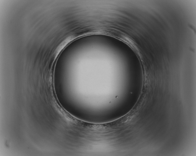 X0000103480907200809191856