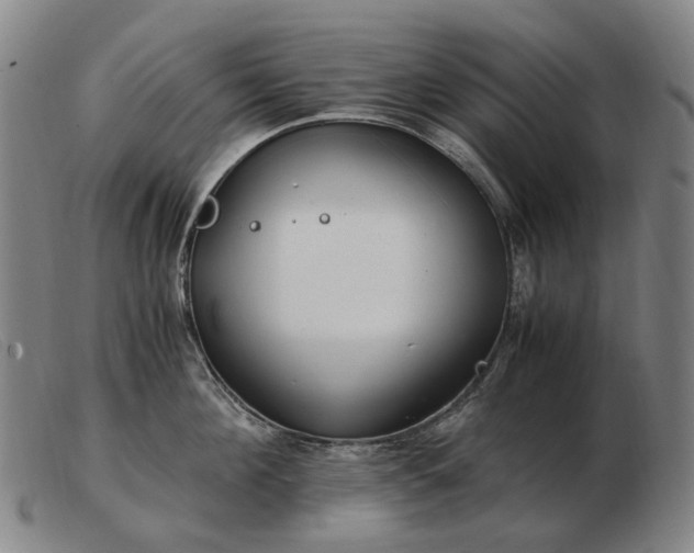 X0000103480908200809191856