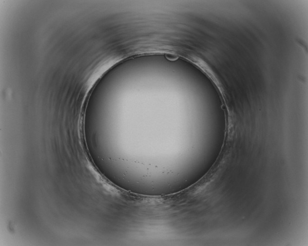 X0000103480909200809191856