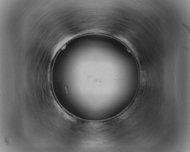 X0000103480910200809191856