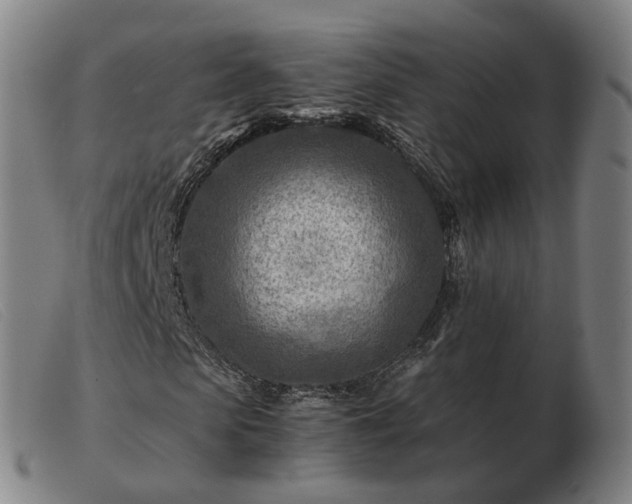 X0000103480913200809191855