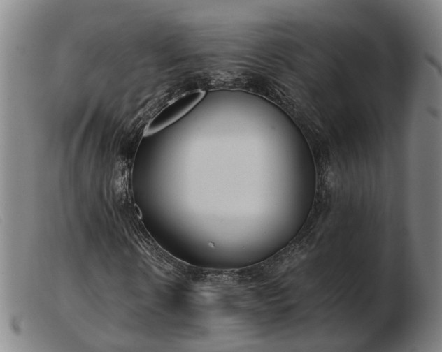 X0000103480914200809191855