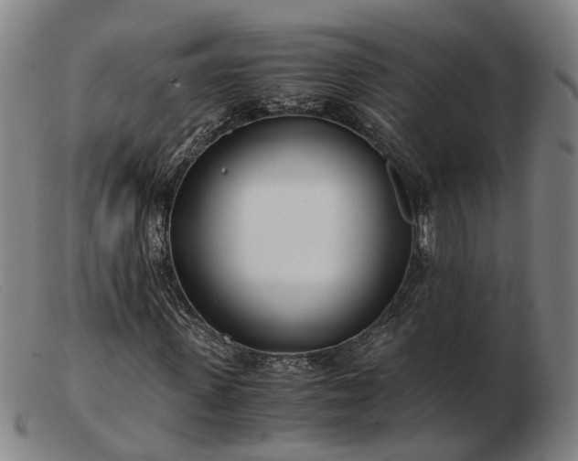 X0000103480915200809191855