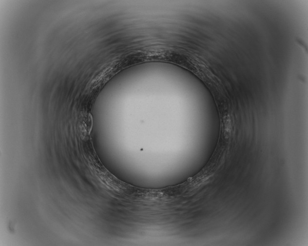 X0000103480916200809191855