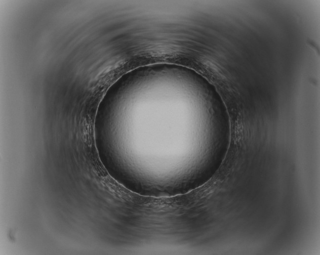 X0000103480917200809191855